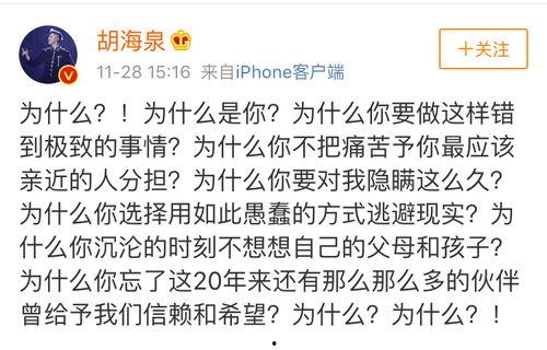 今日贵圈最新爆料